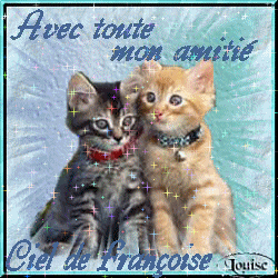 lol belle chat